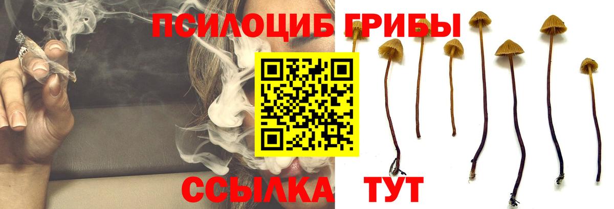 Галлюциногенные грибы мухоморы Мирный